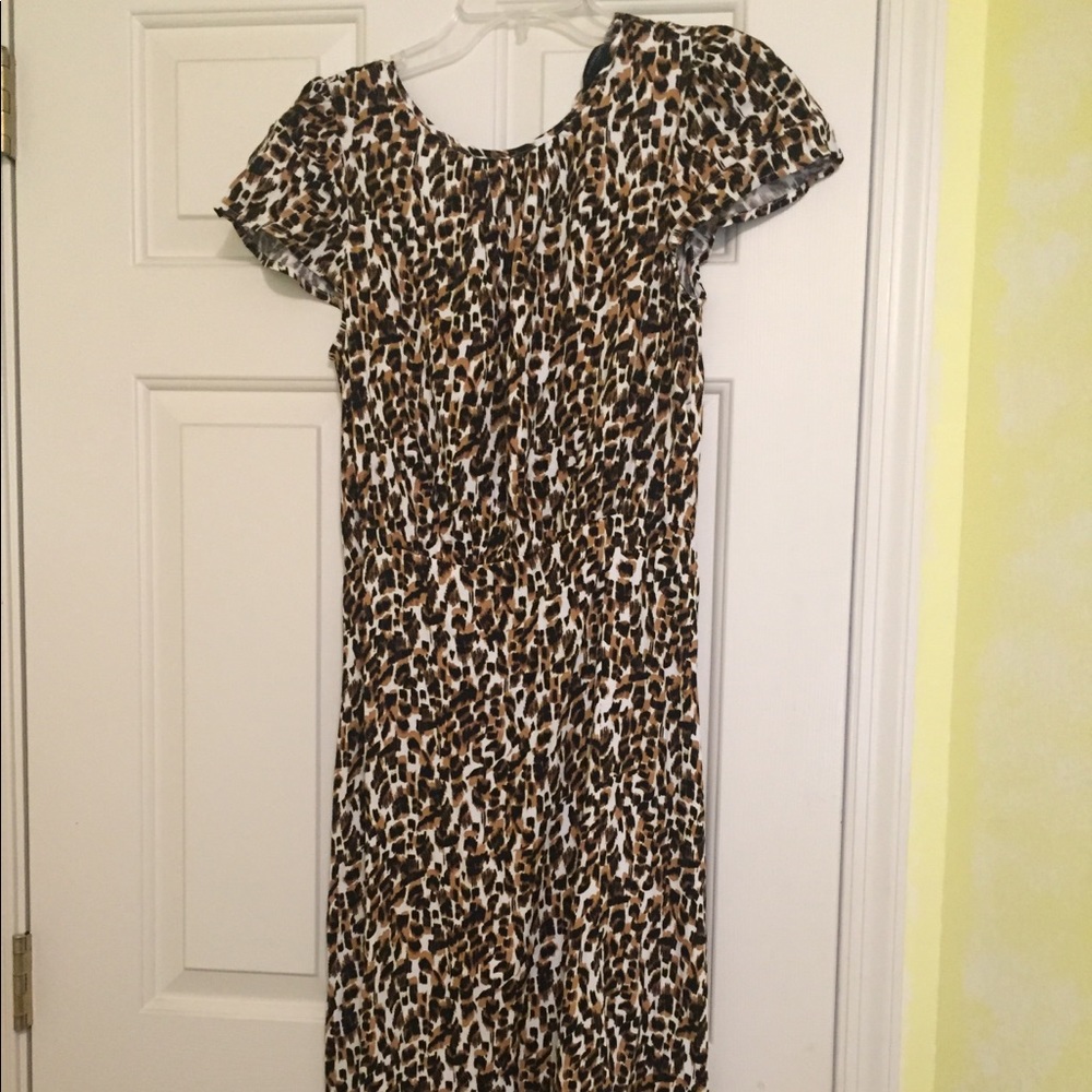 Small Leopard Print Banana Republic Dress
